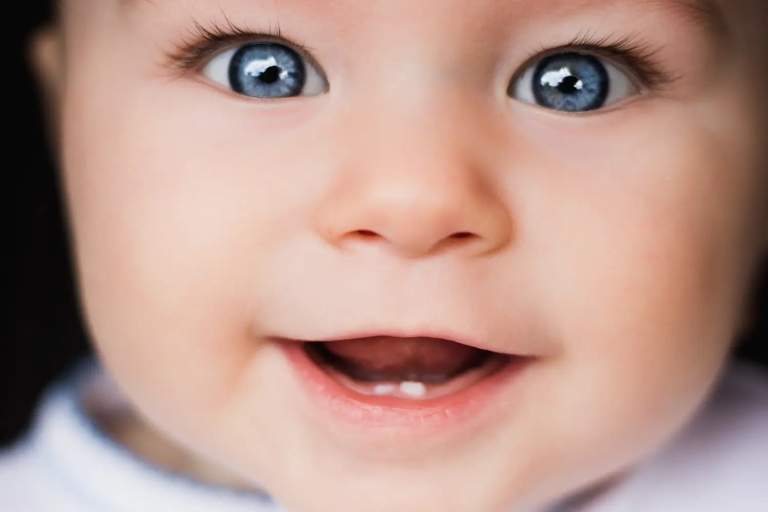 AdobeStock 169829426